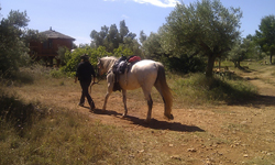 Horse Riding through the mountains and valleys